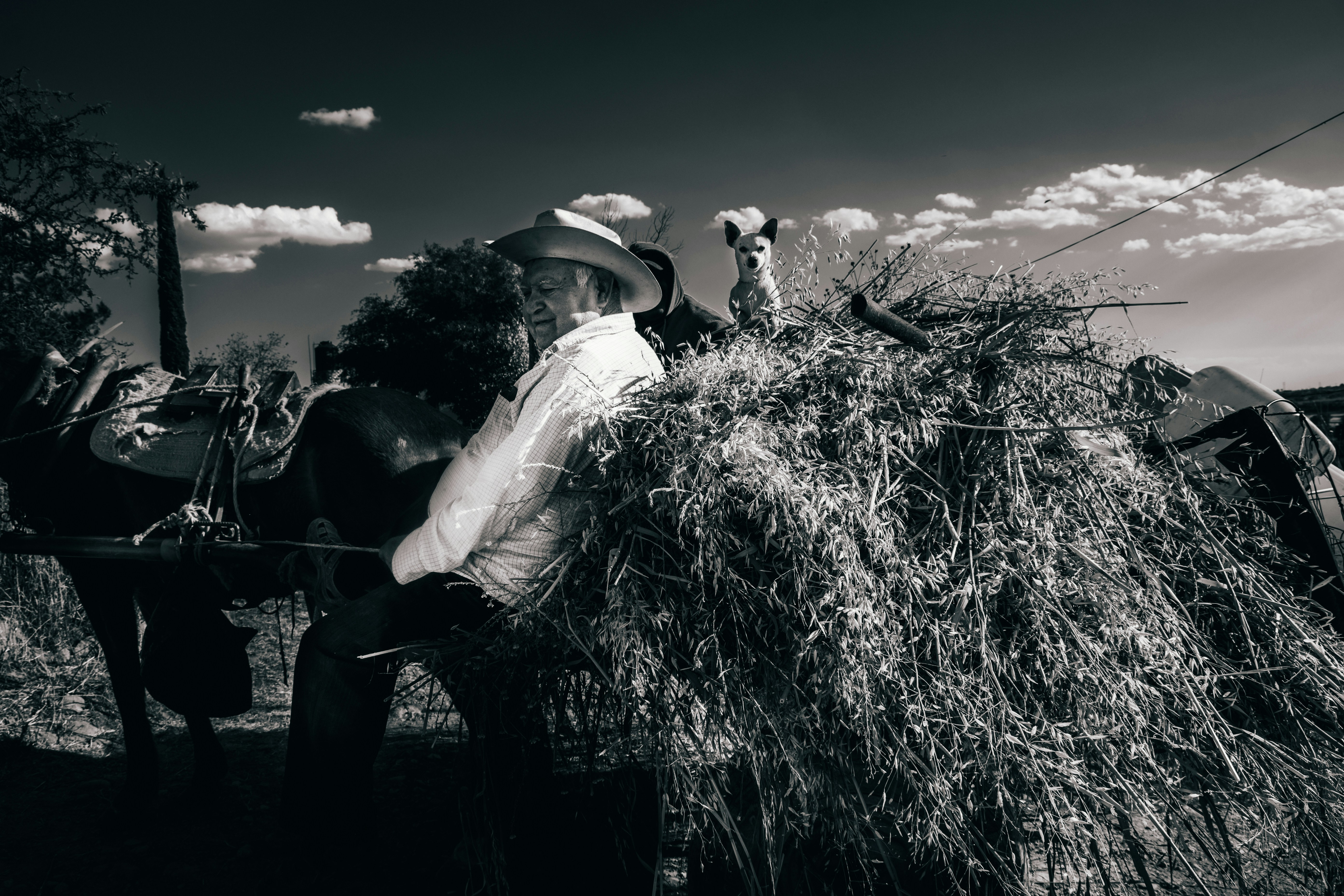 man leaning on piles of grass
