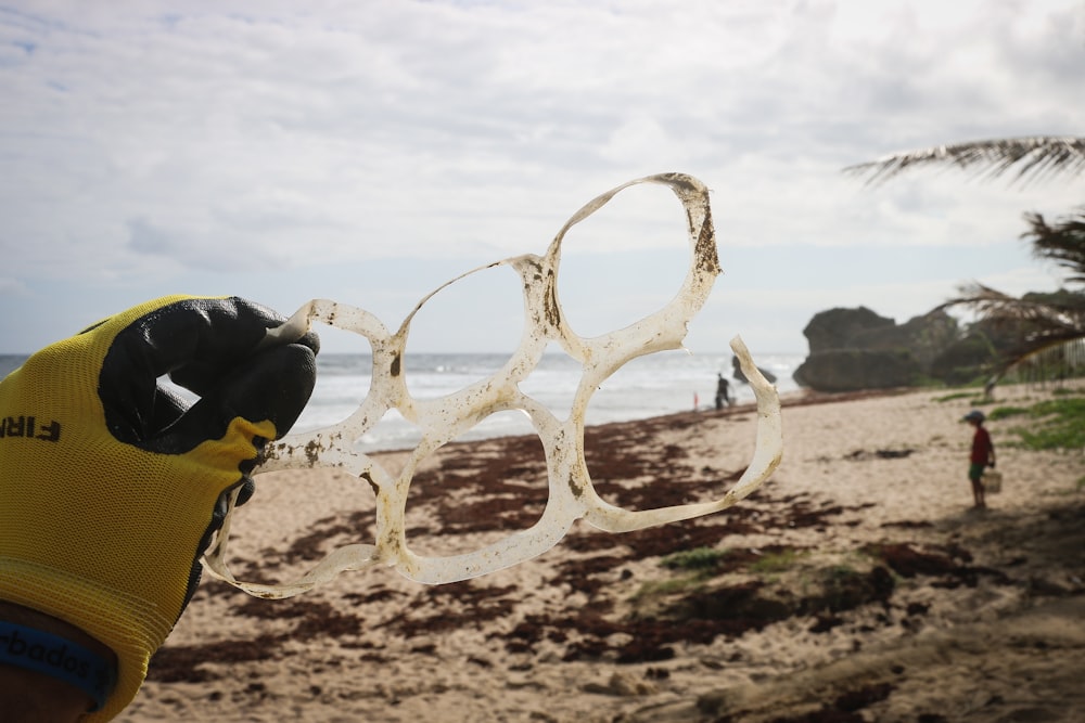 a person holding a kite on a beach