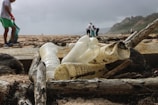 Plastic Elimination in Mauritius and Madagascar