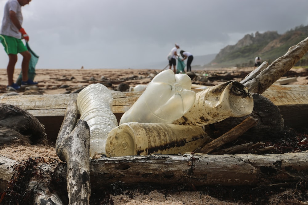 four plastic bottles on piles of wood on shore