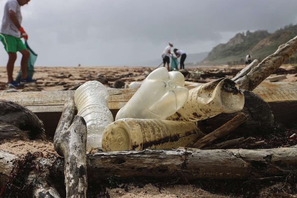 quatre bouteilles en plastique sur des tas de bois sur le rivage