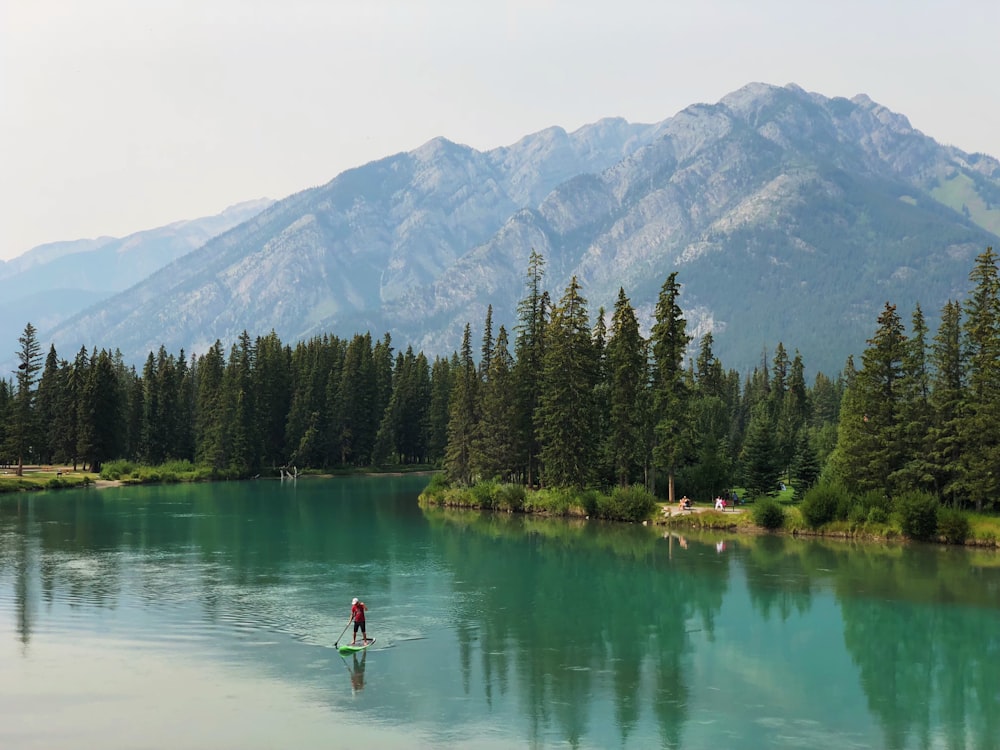 personne debout sur un mini bateau à l’aide d’une rame près d’arbres grands et verts