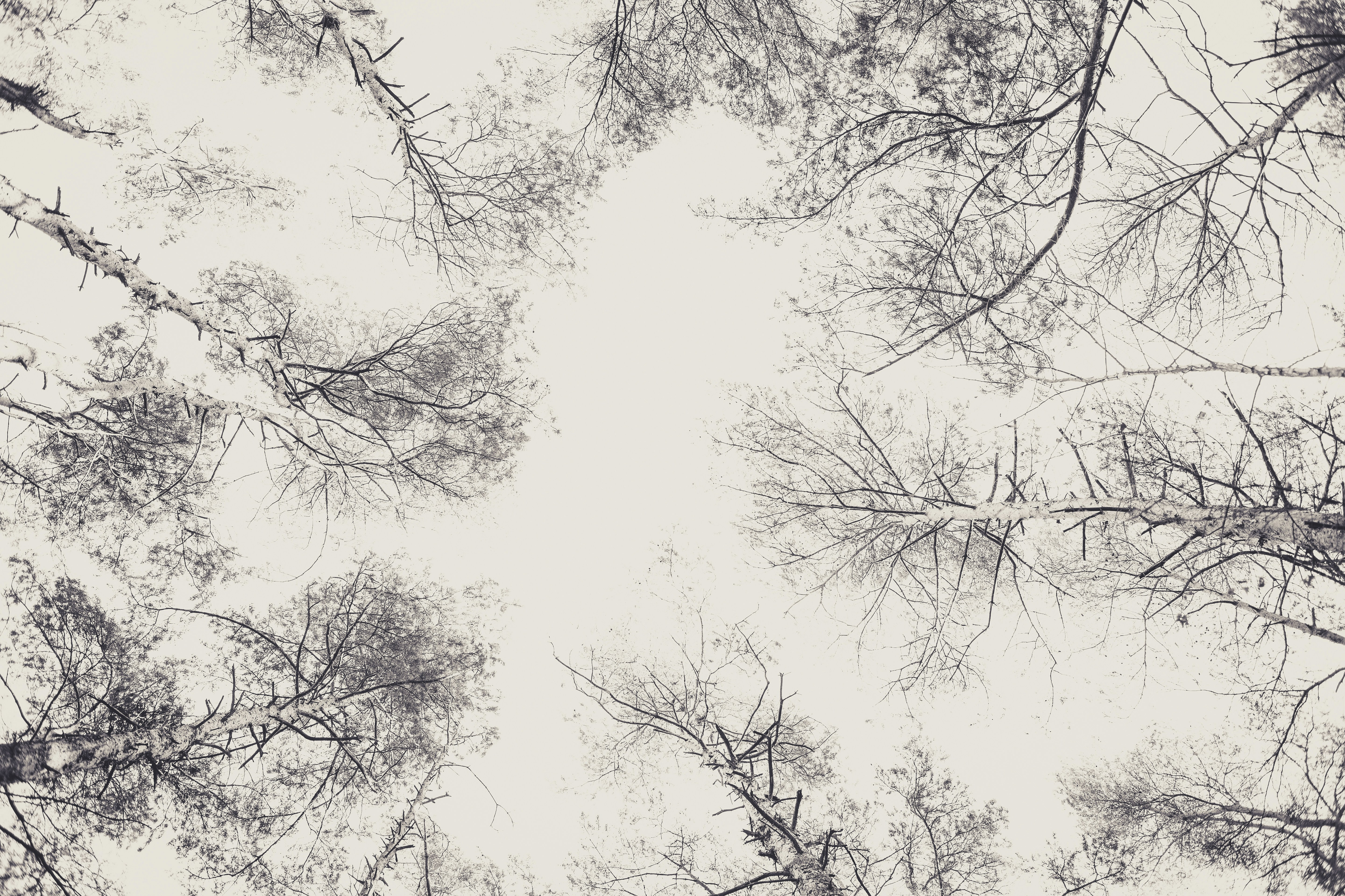 Photo by markusspiske