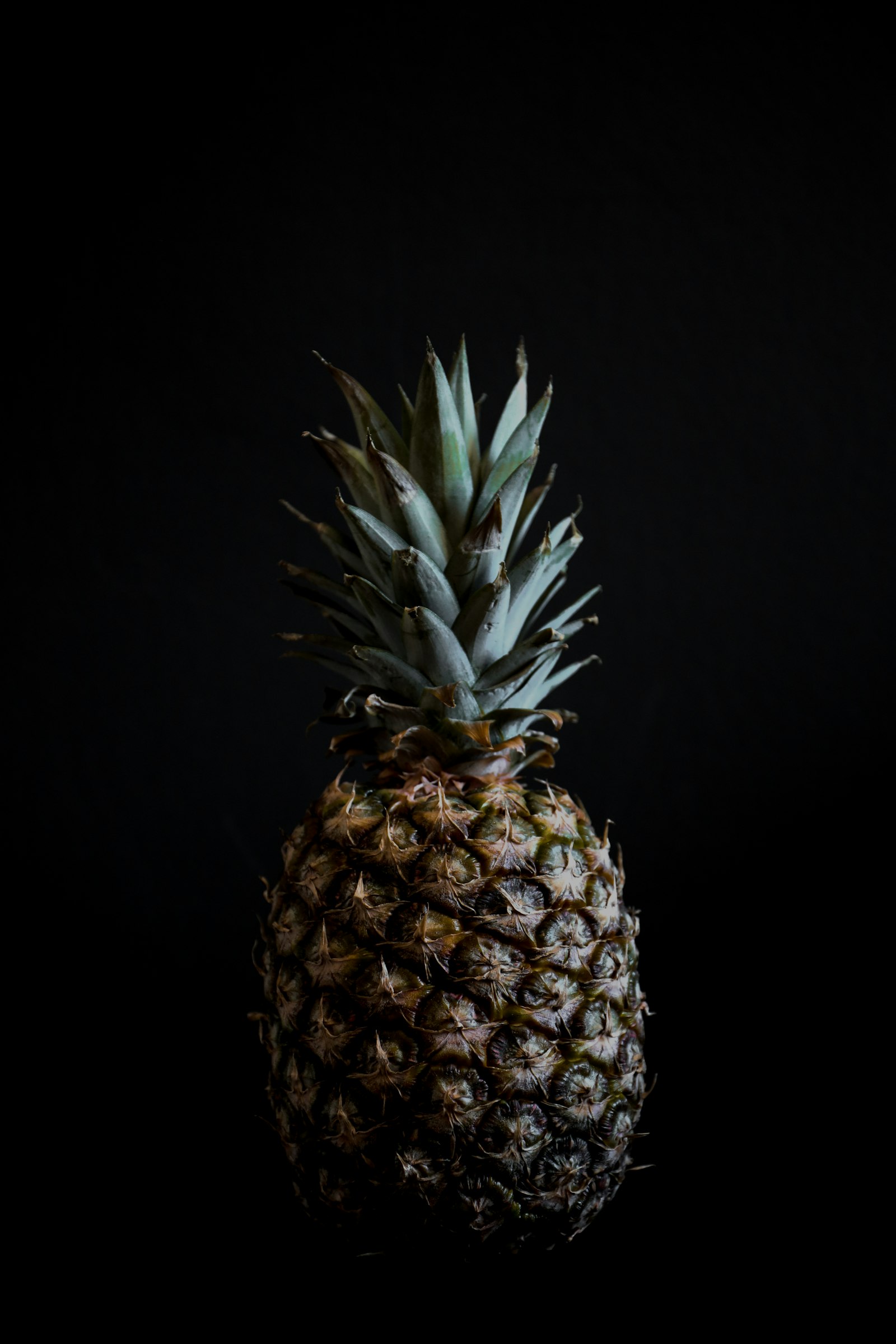 Canon EOS 5D Mark IV + Canon EF 24-70mm F4L IS USM sample photo. Pineapple fruit photography