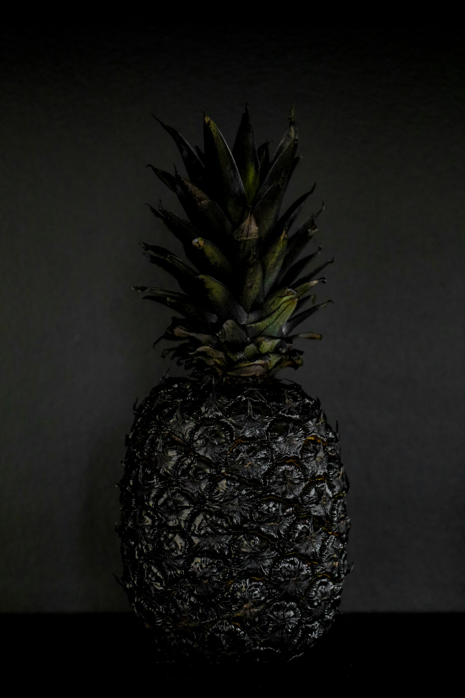 Canon EOS 5D Mark IV + Canon EF 24-70mm F4L IS USM sample photo. Green and gray pineapple photography