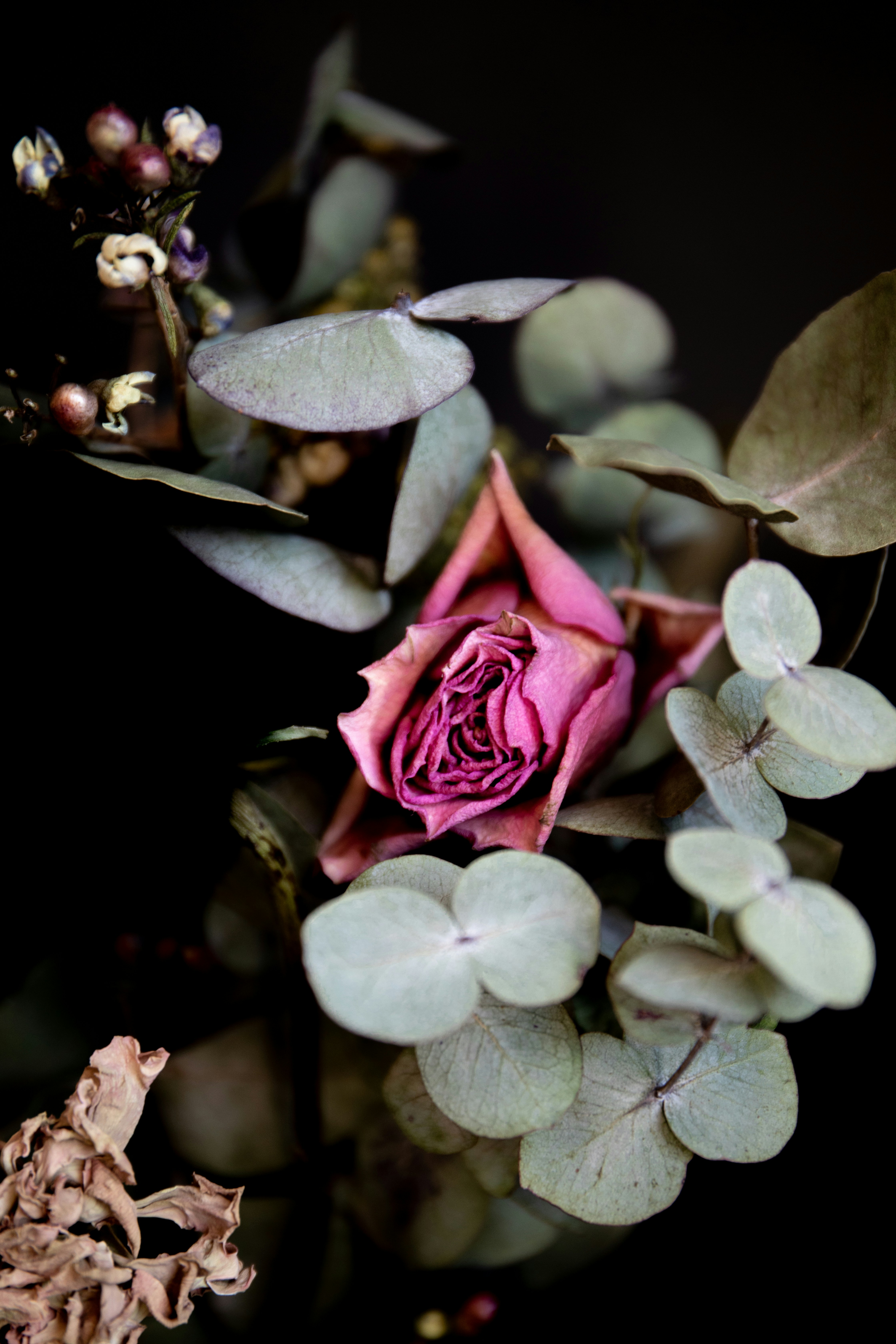 Photo by allthestories