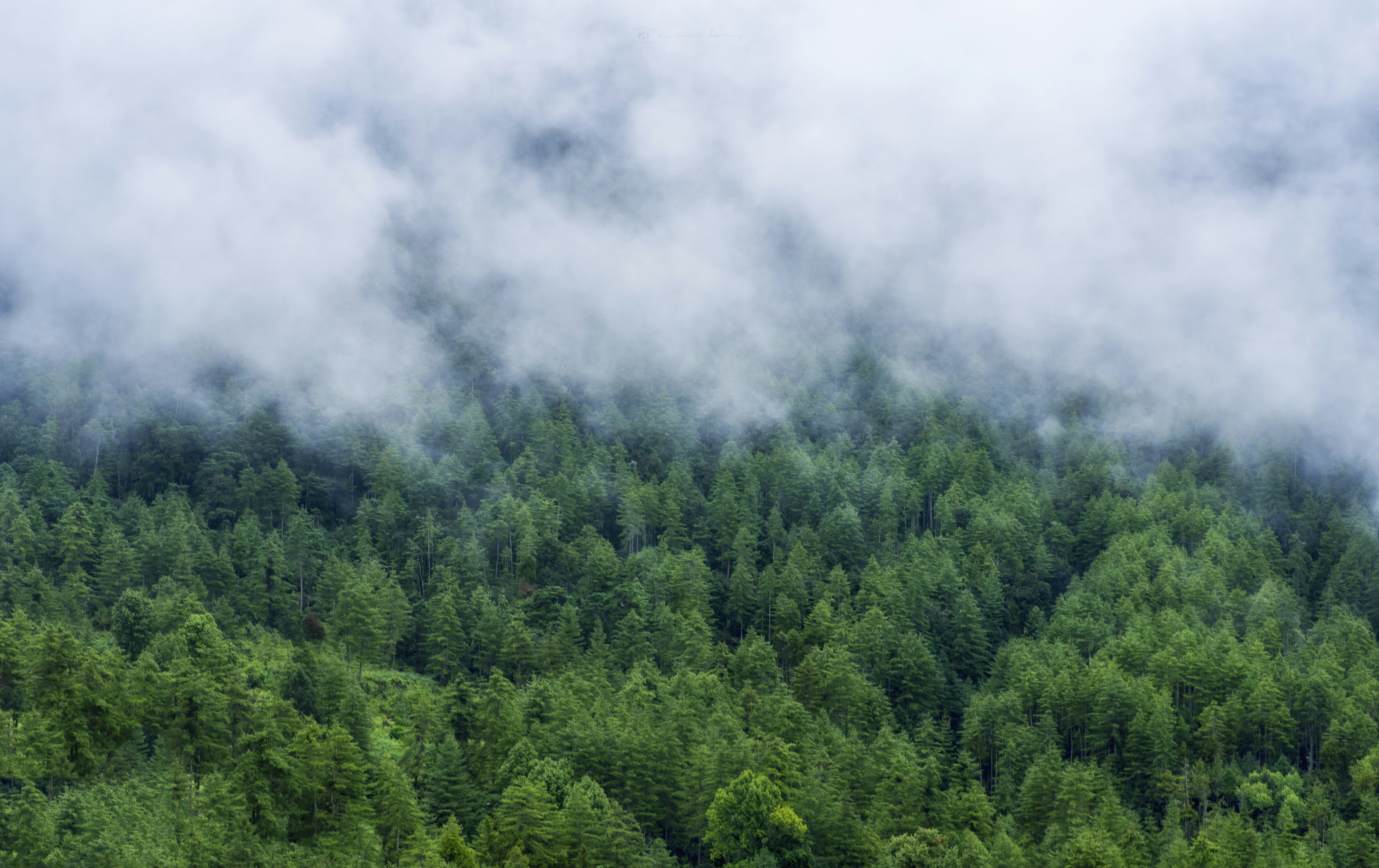 Photo by aaron_boris