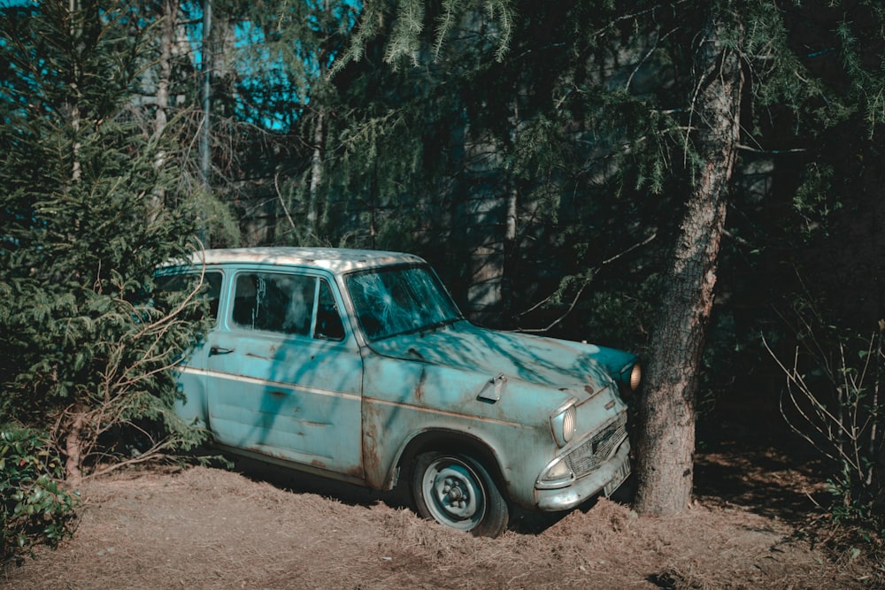 blaues Auto am Baum geparkt