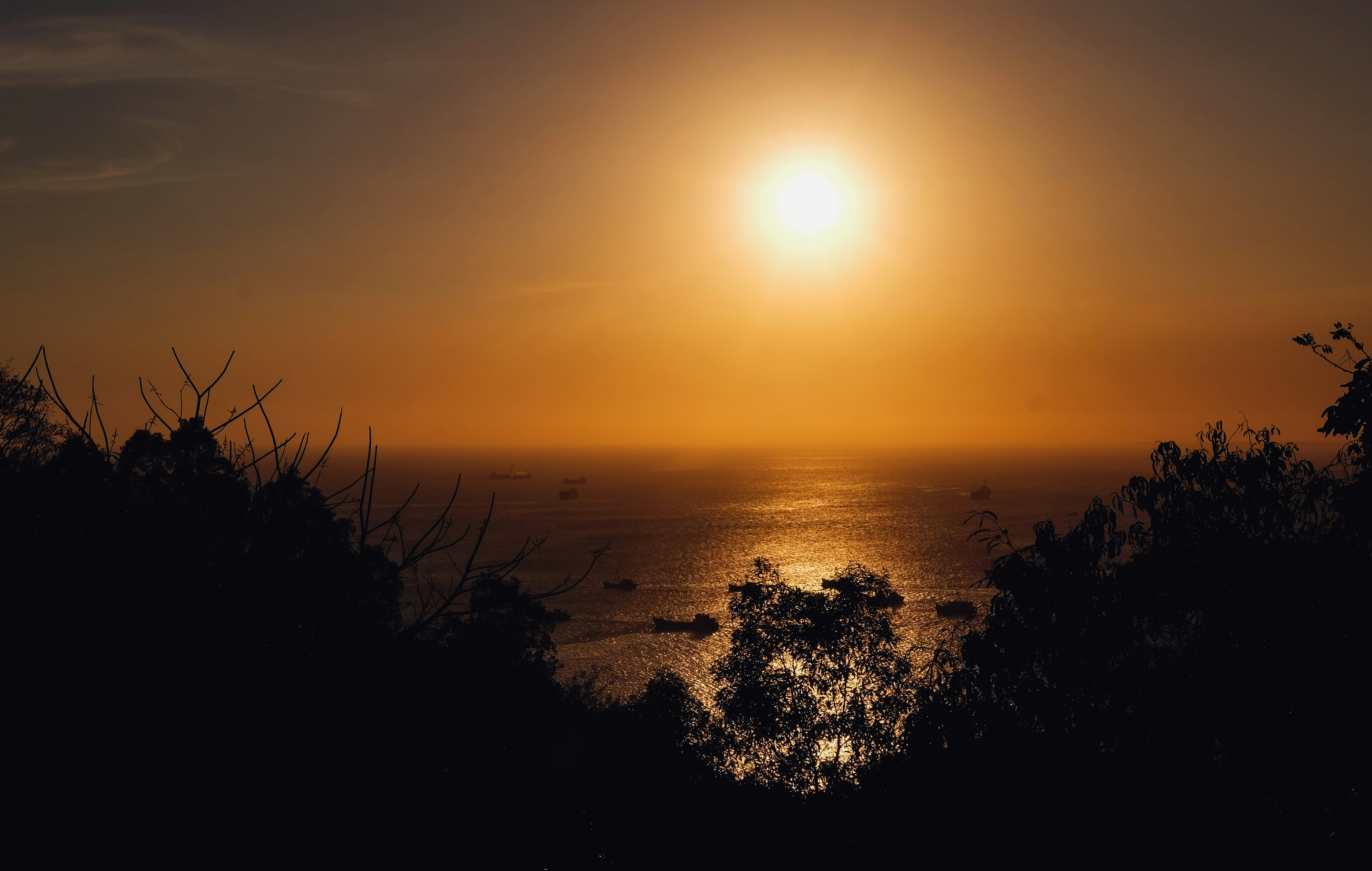 Photo by huyphan2602