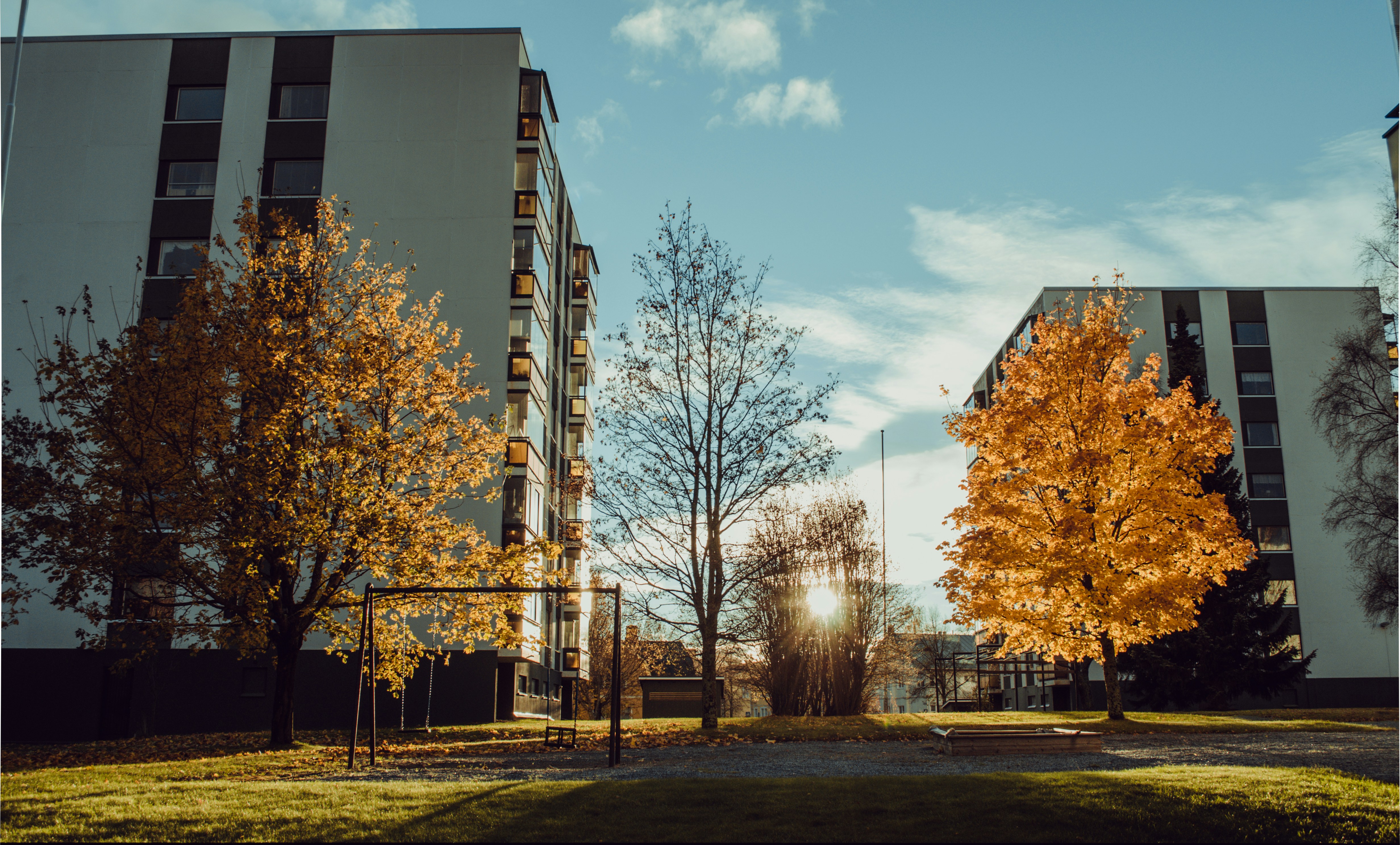 Afbeelding van Buschdorf