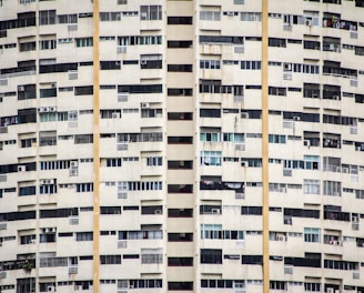 white concrete building