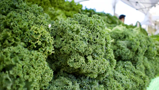 Close-up of fresh, vibrant kale and ripe avocados on a rustic wooden table, highlighting natural textures and colors.