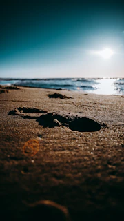 Golden hour sunlight casting long shadows on a quiet beach with footprints in the sand.