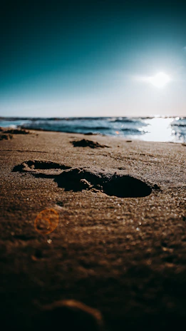 Golden hour sunlight casting long shadows on a quiet beach with footprints in the sand.