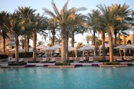 Luxurious sun loungers arranged under palm trees by the pool.
