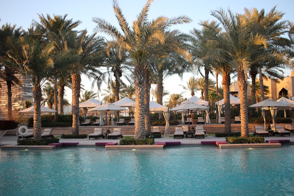 Swimming pool area with sun loungers and palm trees