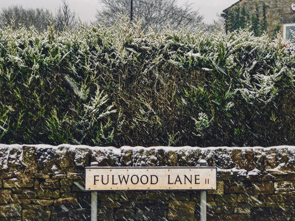 Fulwood Lane sign beside concrete wall