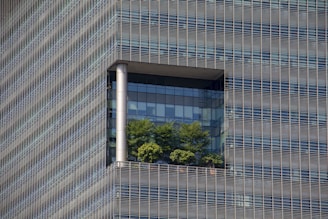 green-leafed plants on building balcony during daytime