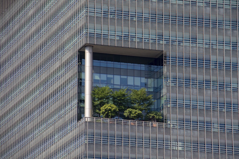 green-leafed plants on building balcony during daytime