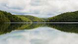 body of water surrounded with trees under white skies