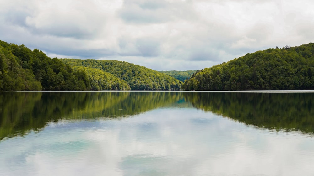 body of water surrounded with trees under white skies