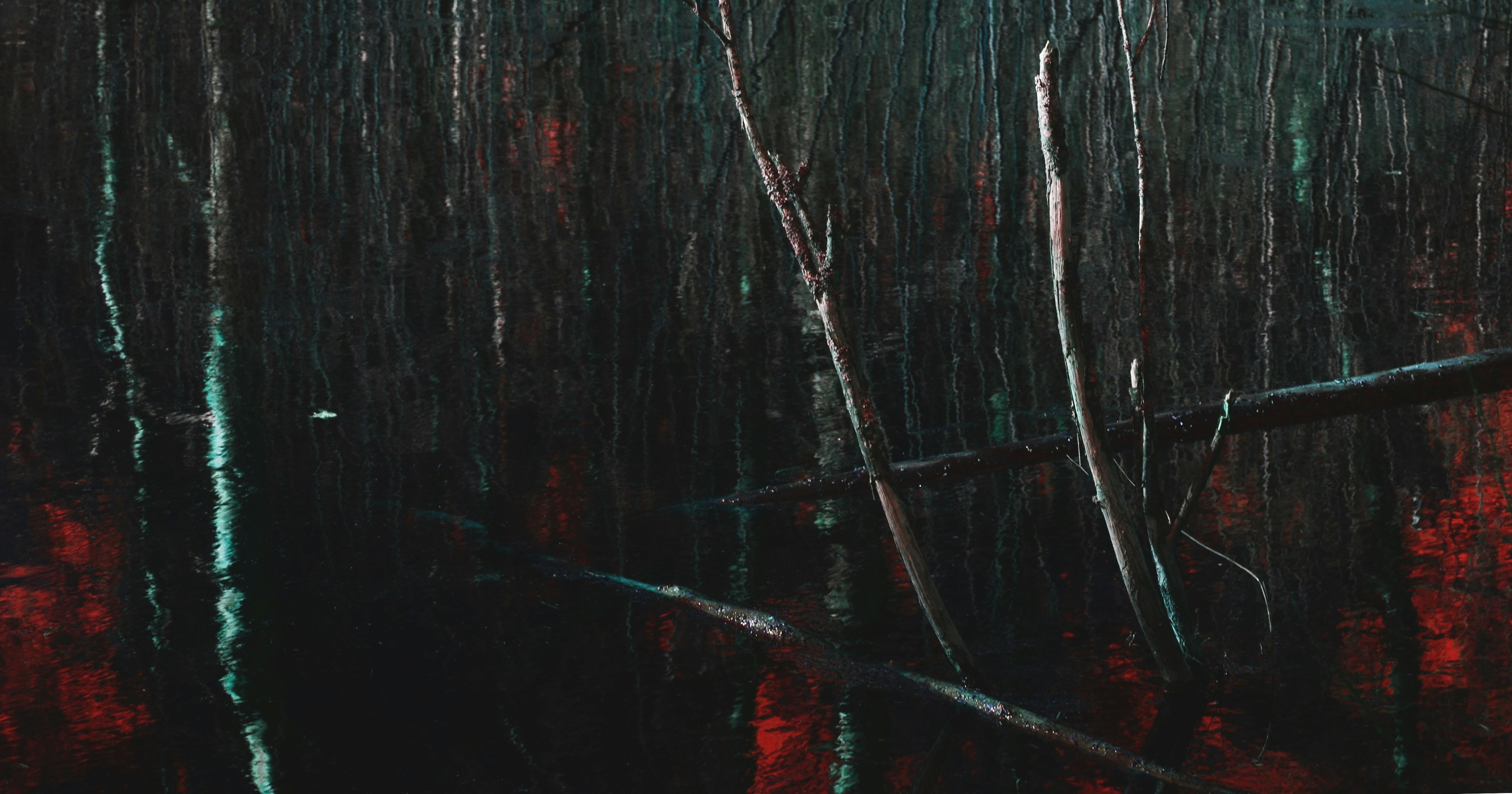 Photo by viktortalashuk