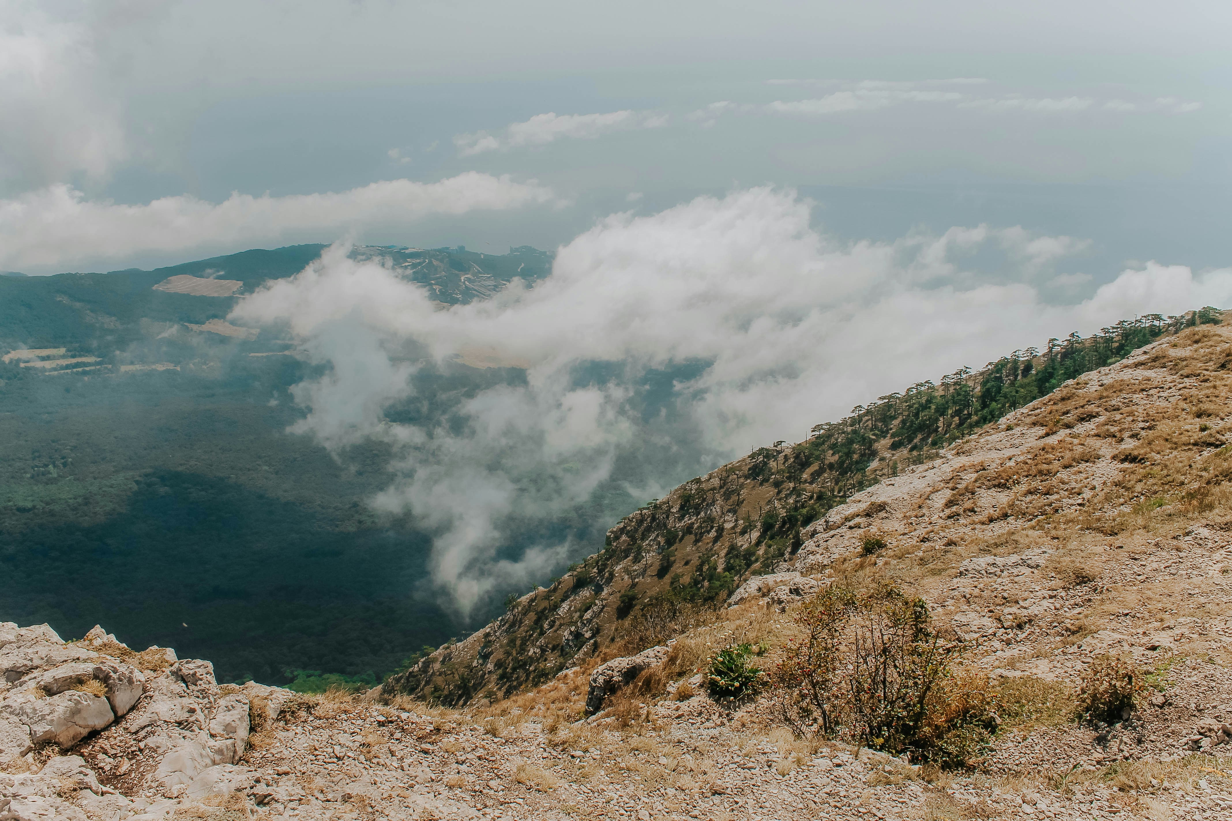 Choose from a curated selection of summer photos. Always free on Unsplash.