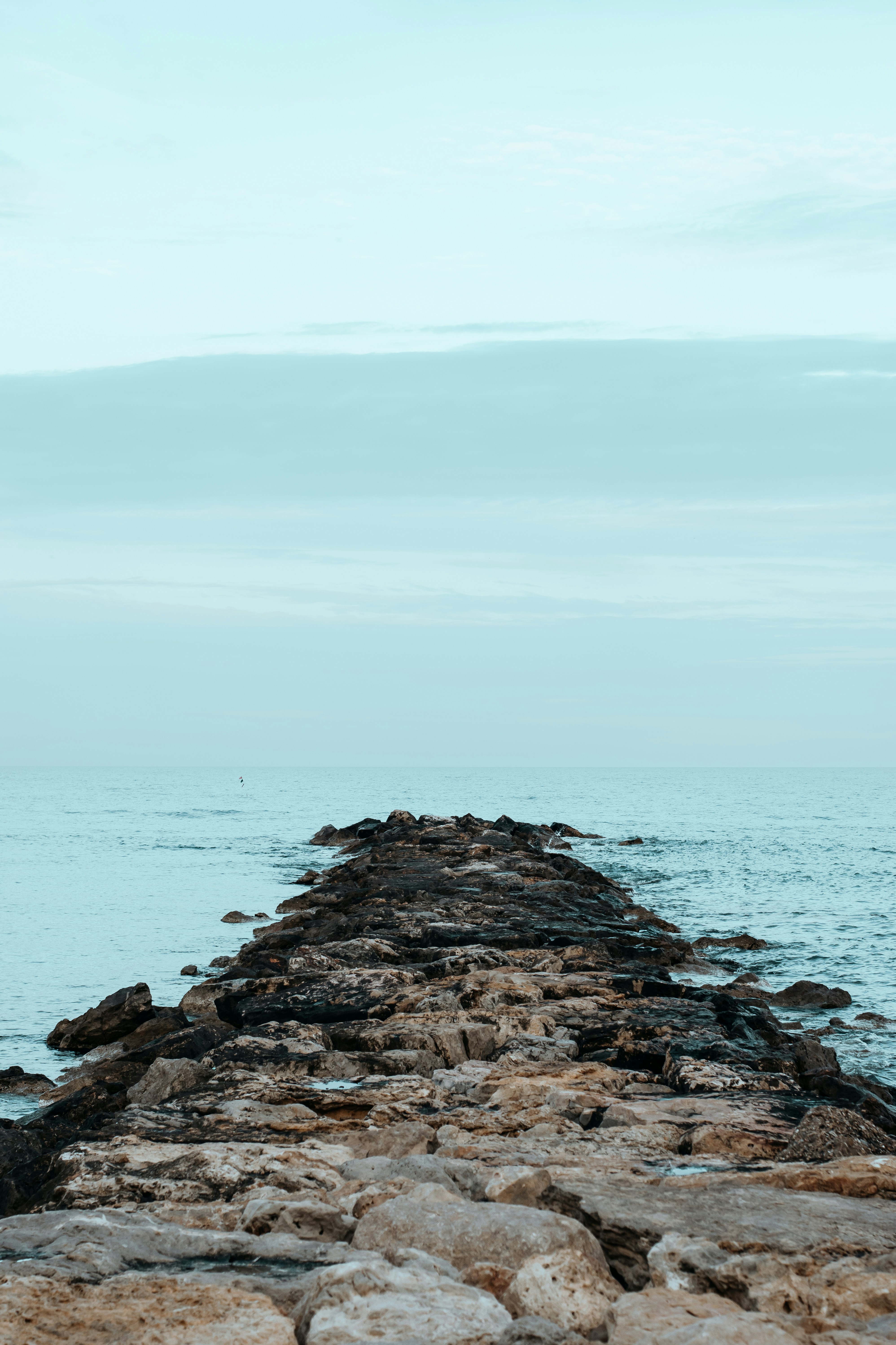 Photo by williamnavarro_