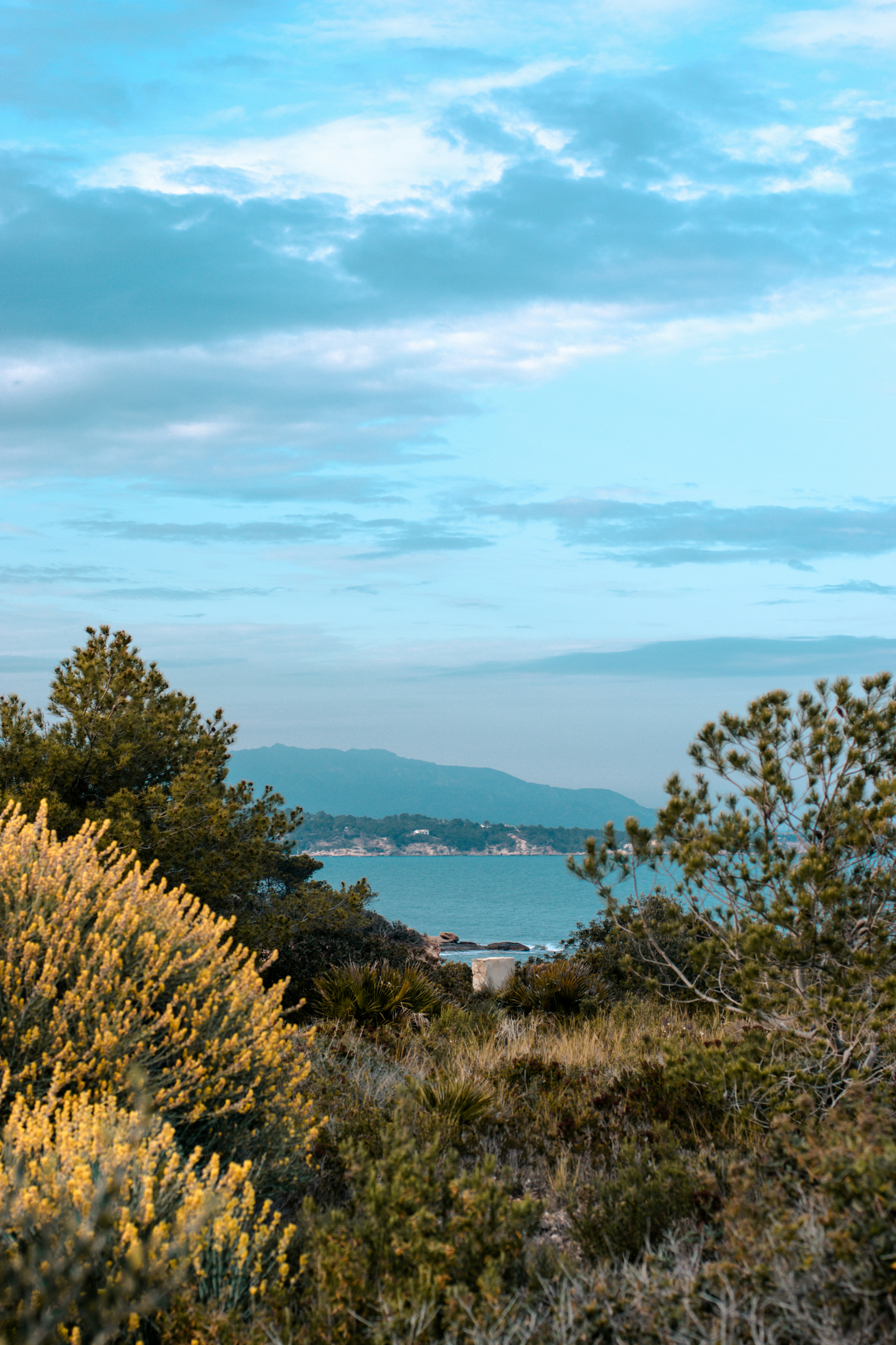 Photo by williamnavarro_