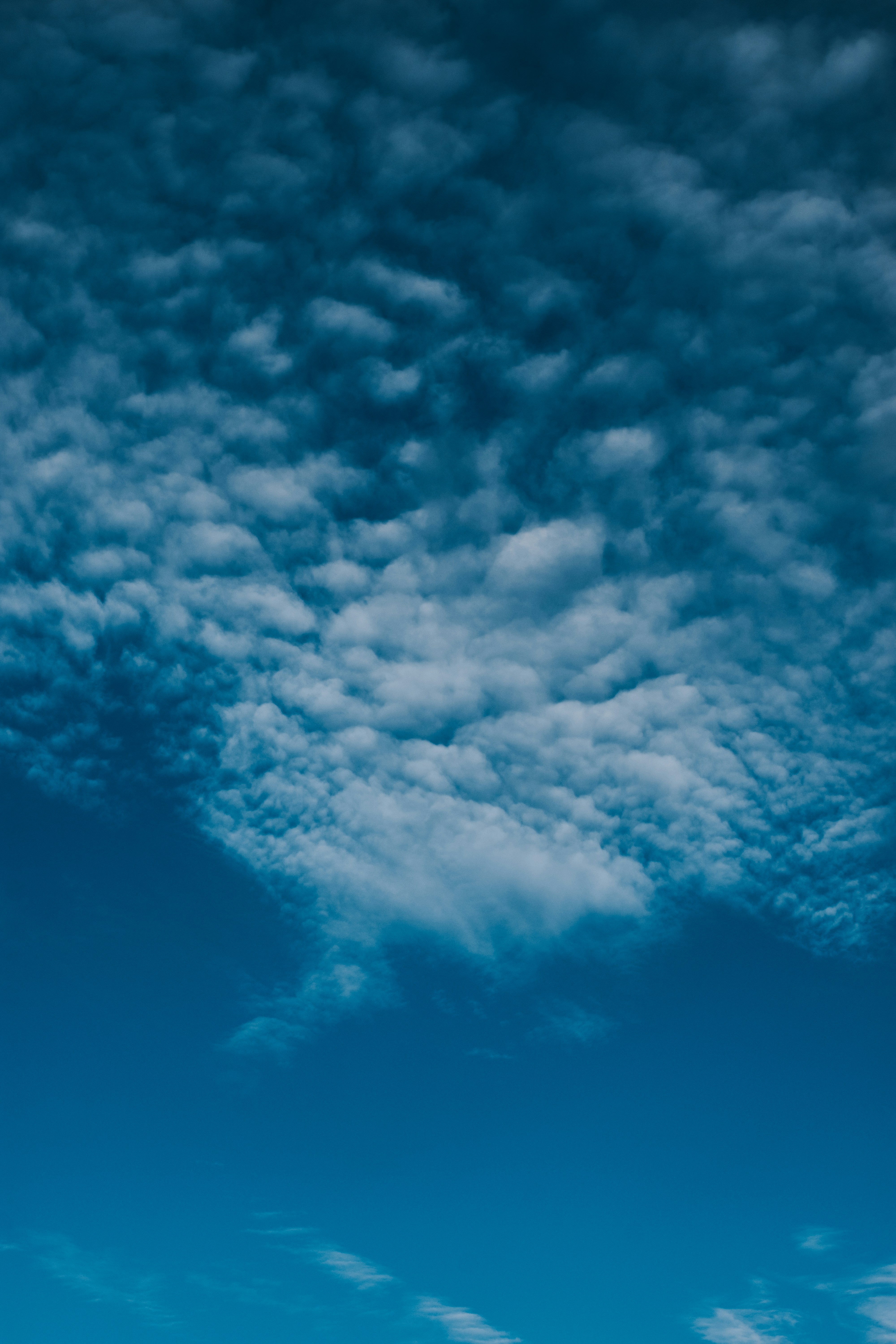 Photo by williamnavarro_