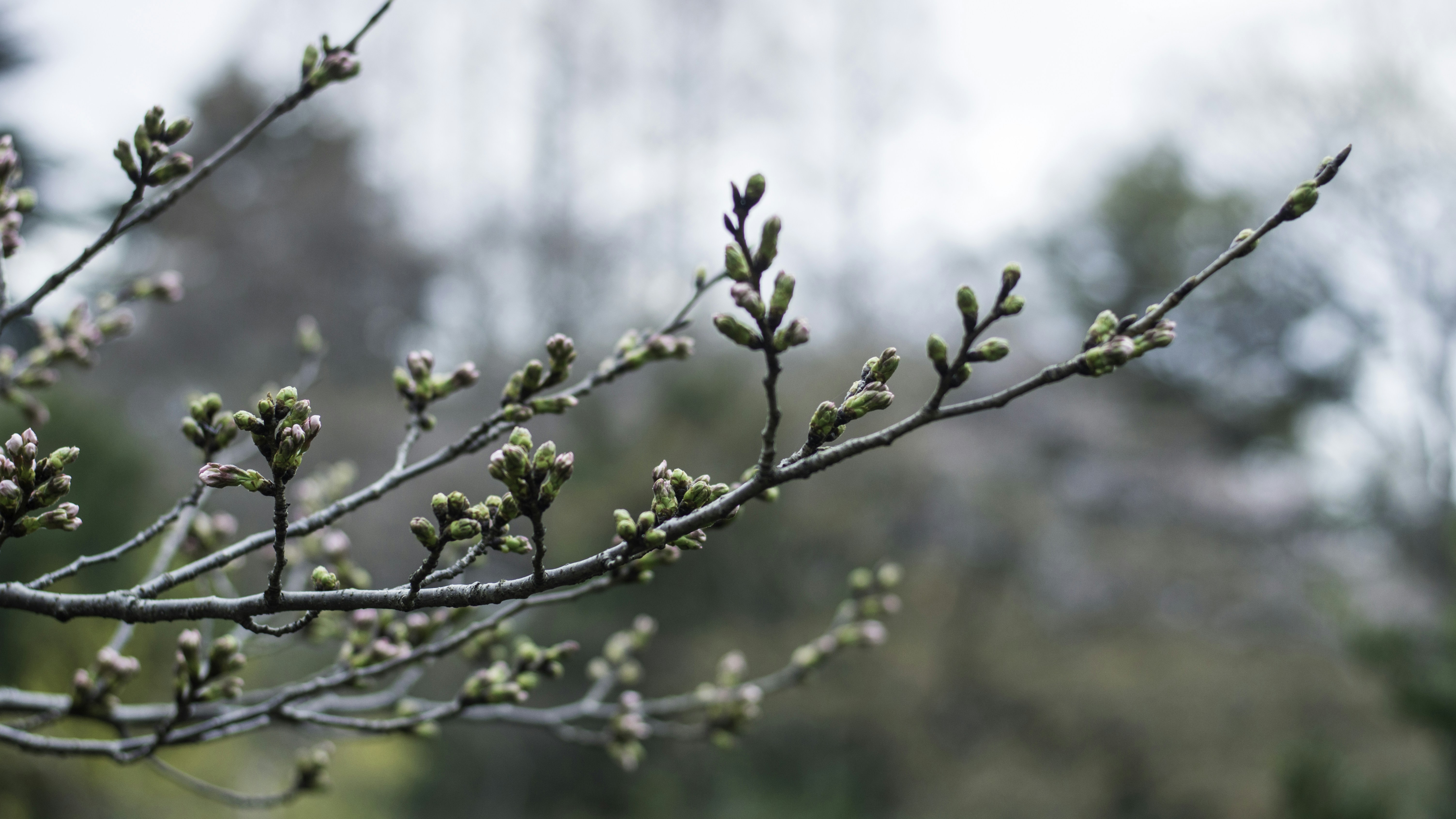 Photo by paracetamol