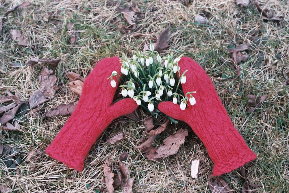 a pair of red mittens holding a bouquet of flowers