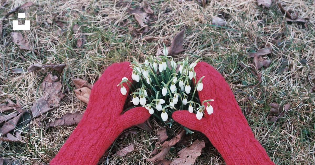 Foto Un par de mitones rojos sosteniendo un ramo de flores – Imagen ...