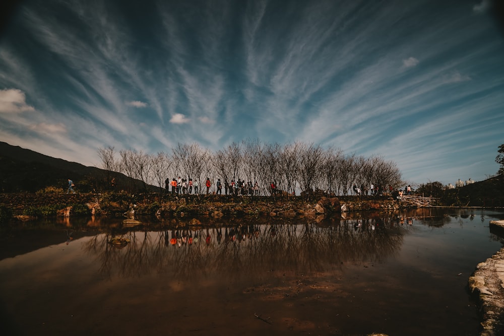 people gathered by bare trees by body of water