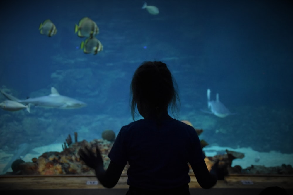 silhouette de femme par aquarium
