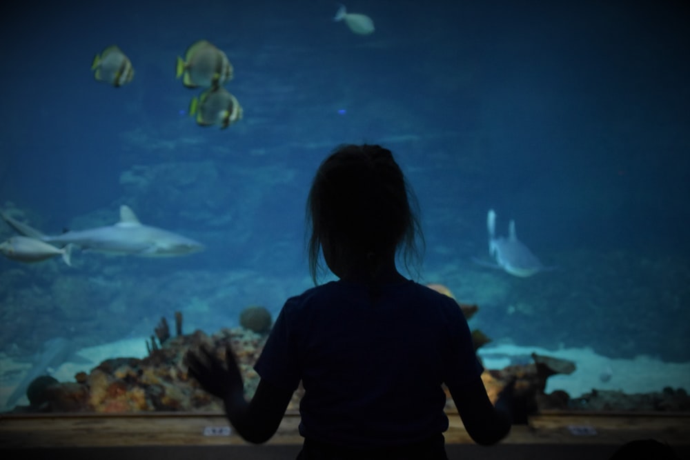 silhouette of woman by aquarium