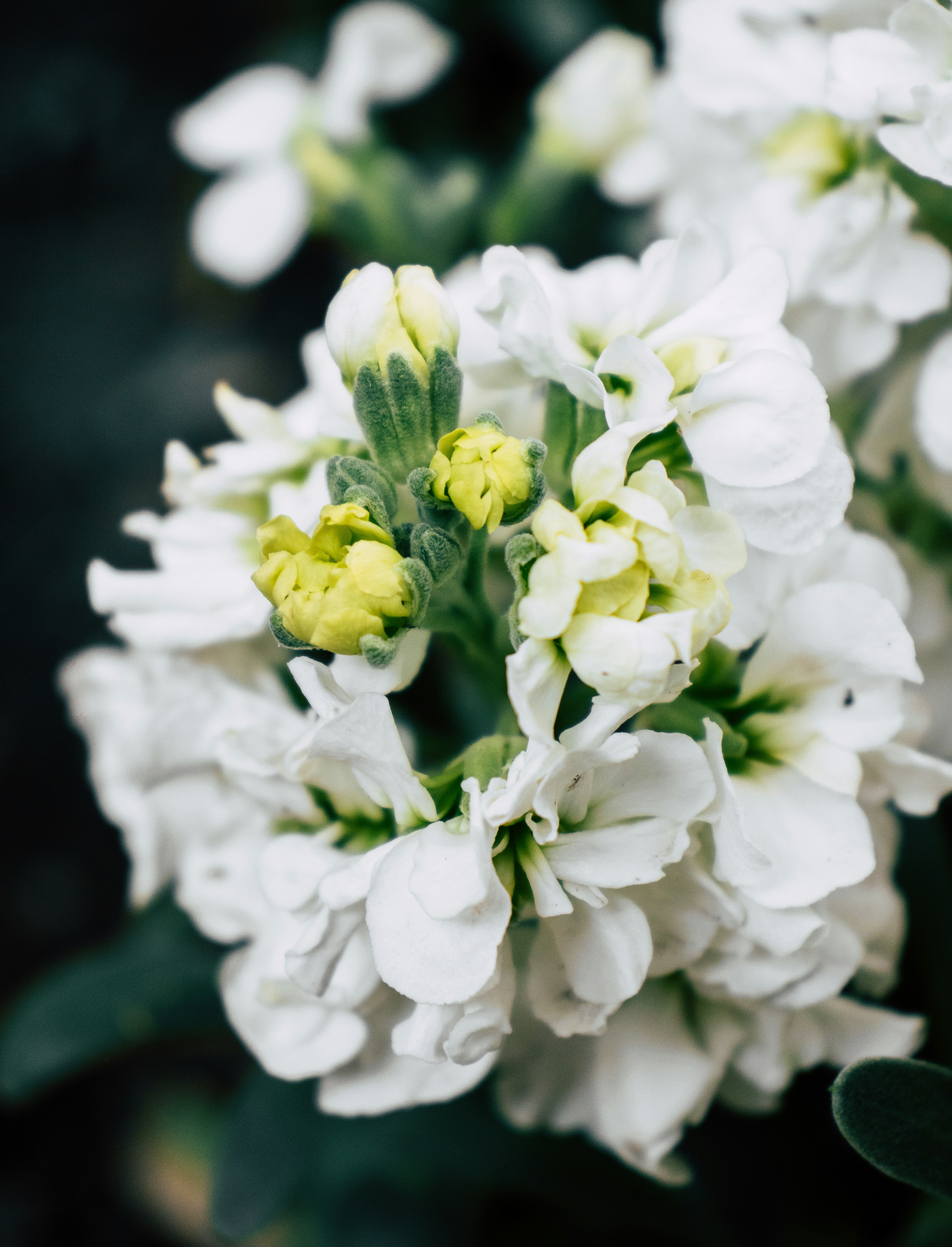 Photo by behy_studio