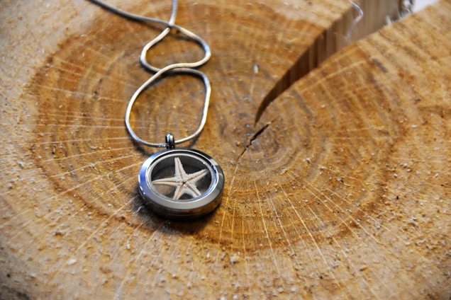 Close-up of a silver geometric moth pendant resting on a weathered driftwood piece by the sea.