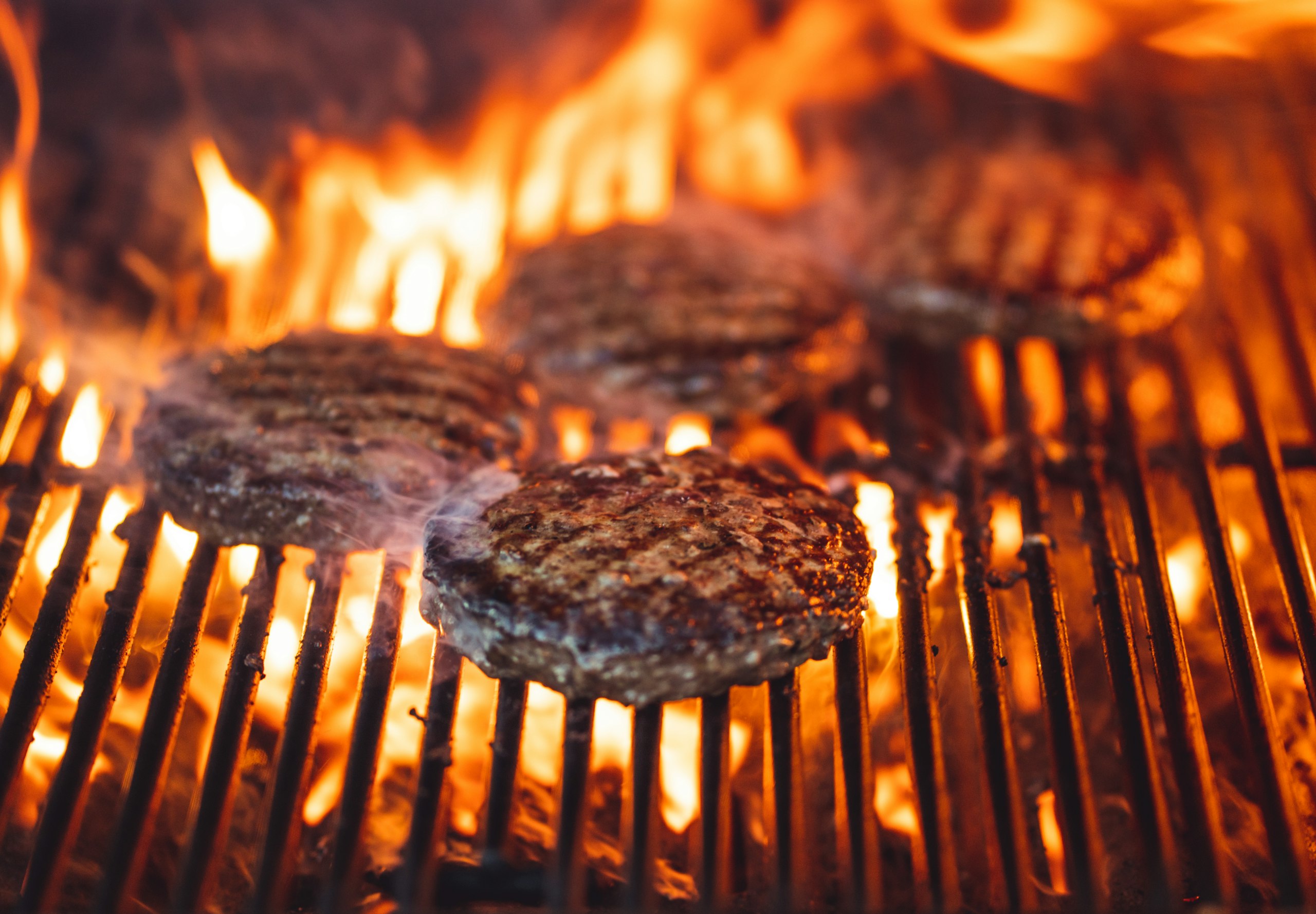 Burgers viande fraîche