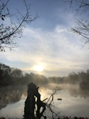 A serene landscape photo with soft morning light illuminating a quiet lake.