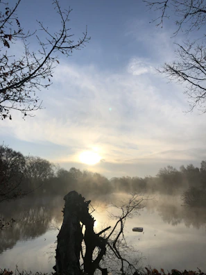 A serene landscape photo with soft morning light illuminating a quiet lake.