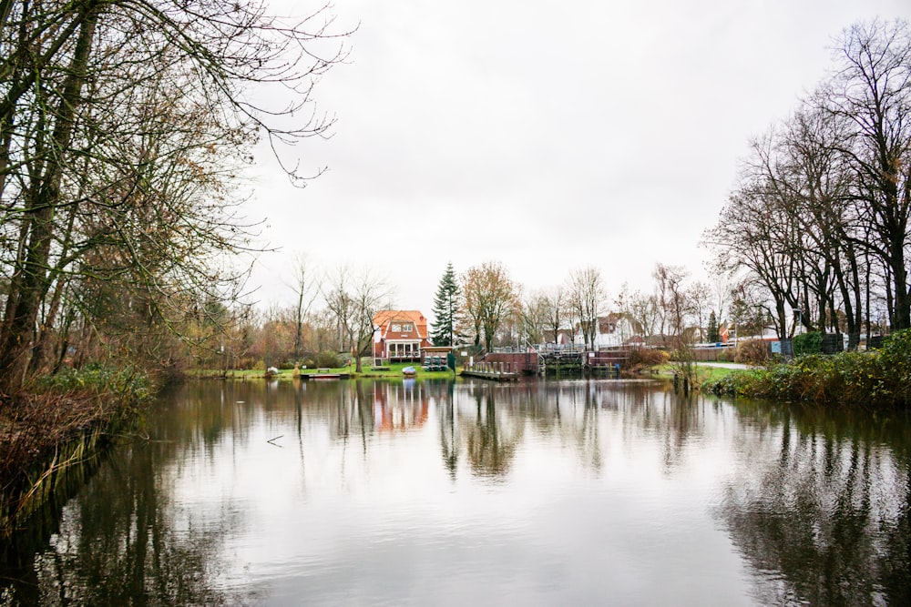 trees reflecting on calm water