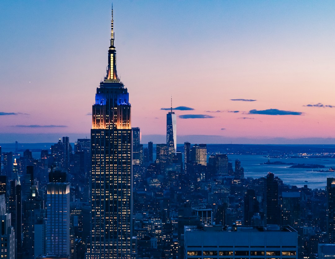 cityscape photo at night,