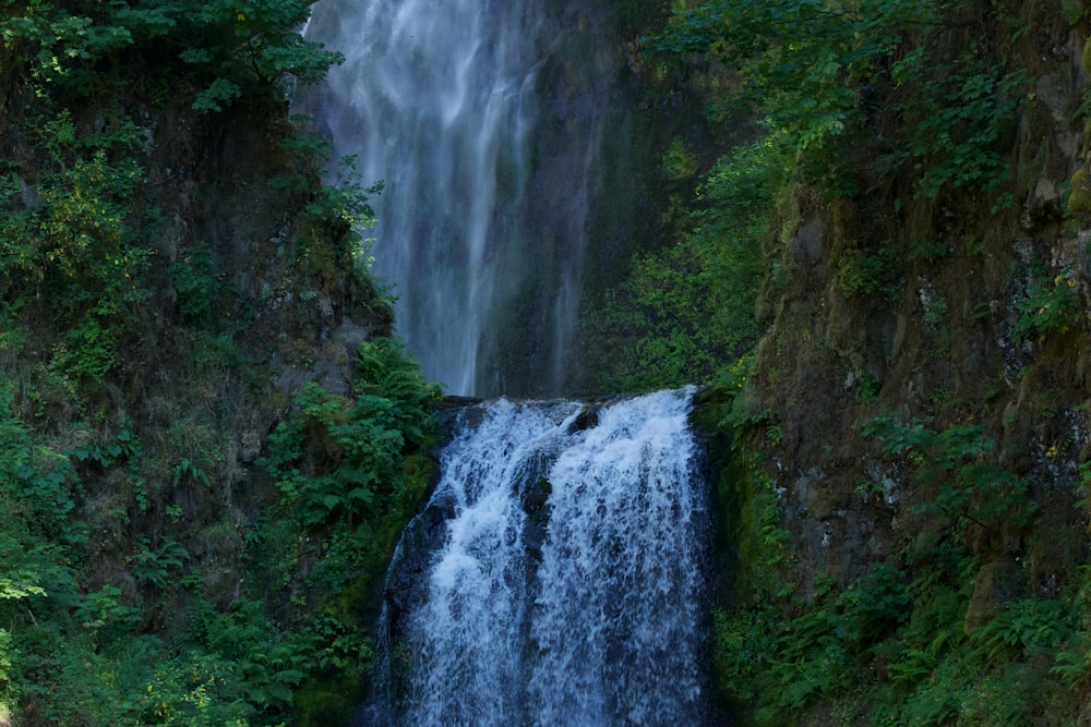 waterfalls between green grass