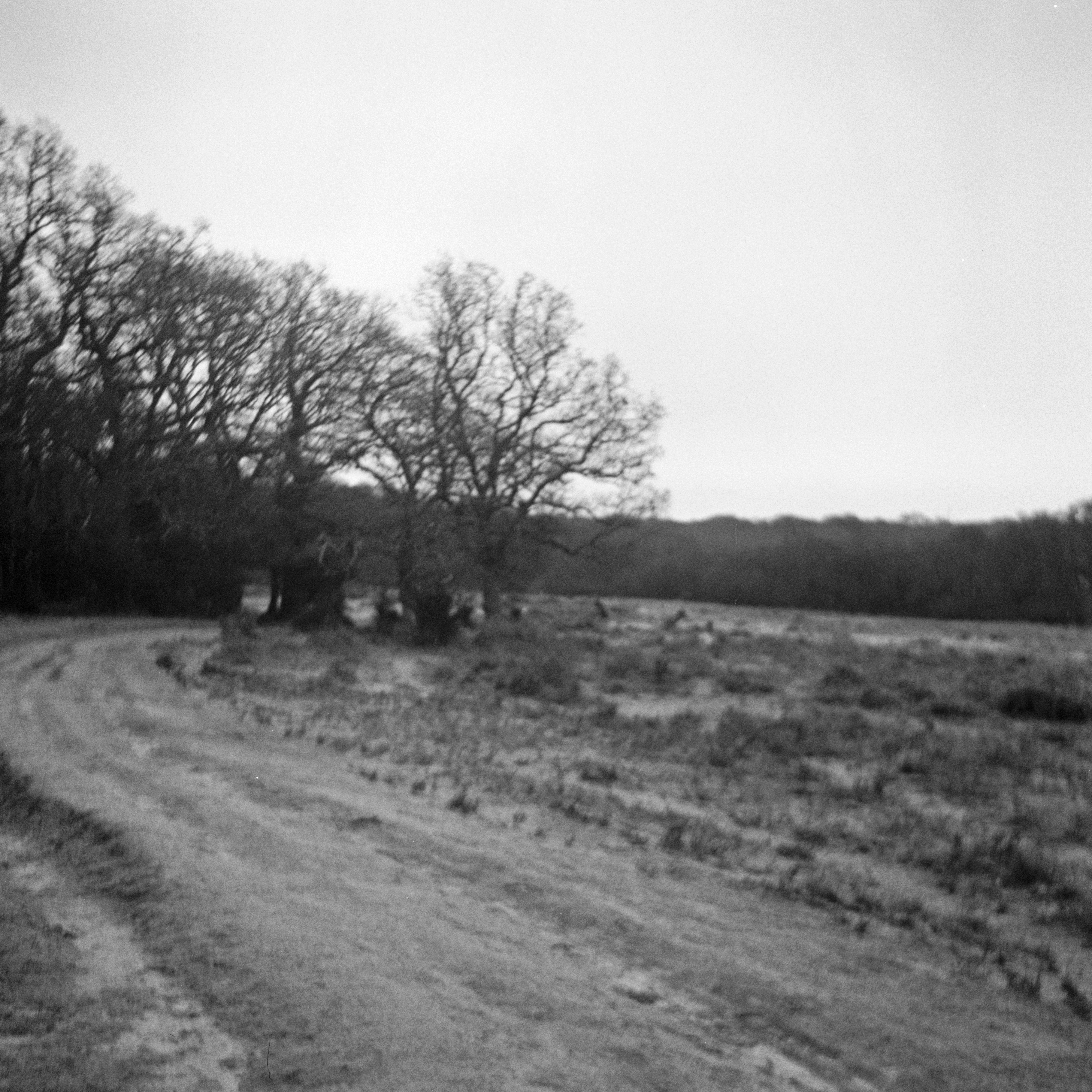 Photo by anniespratt