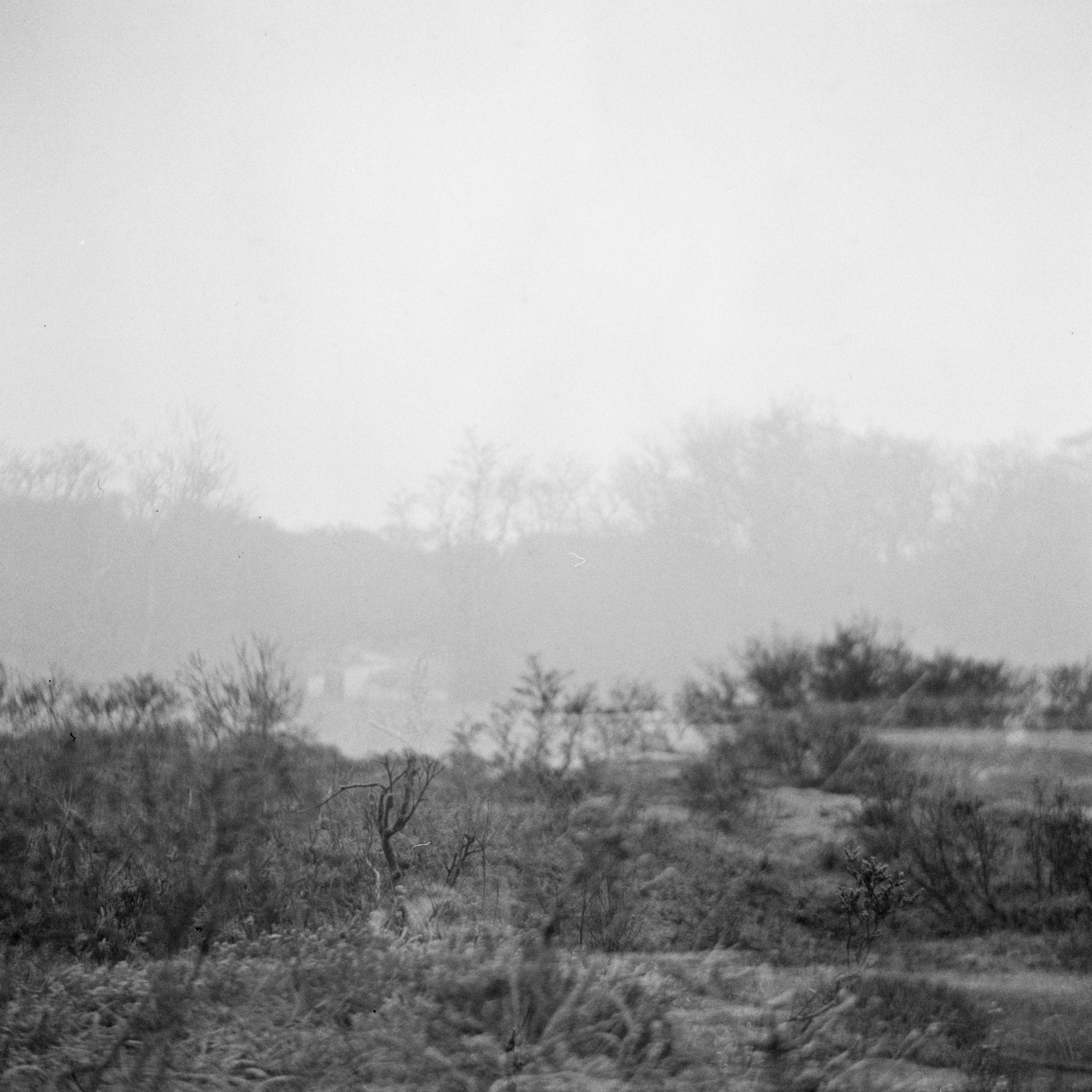 Photo by anniespratt