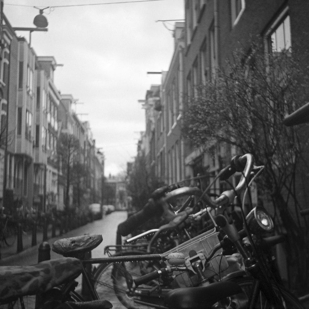 bikes parked in alley