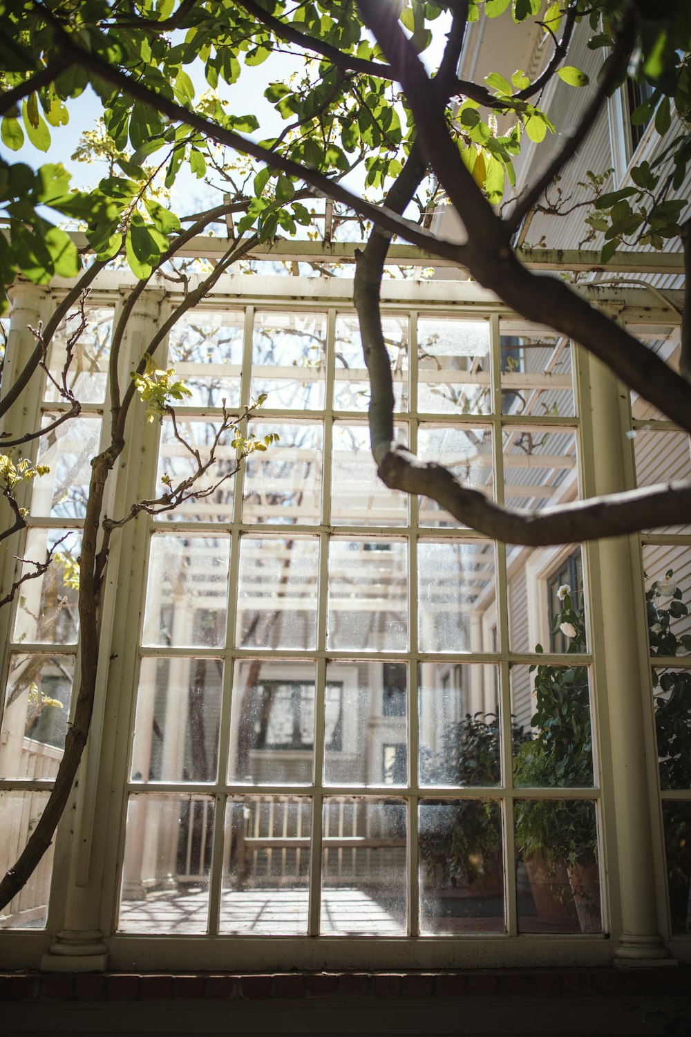 closed white wooden framed glass windows