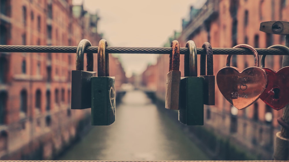 assorted-color padlocks in rope