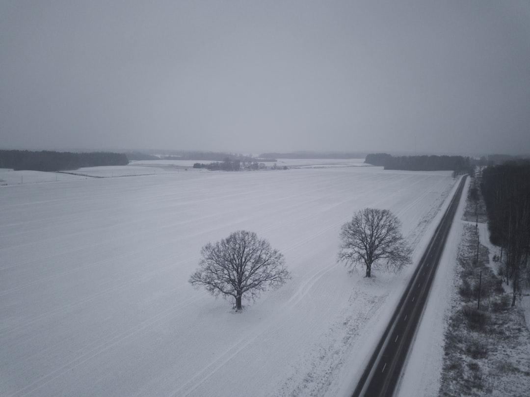 Natural landscape photo spot P116 Kuldīga